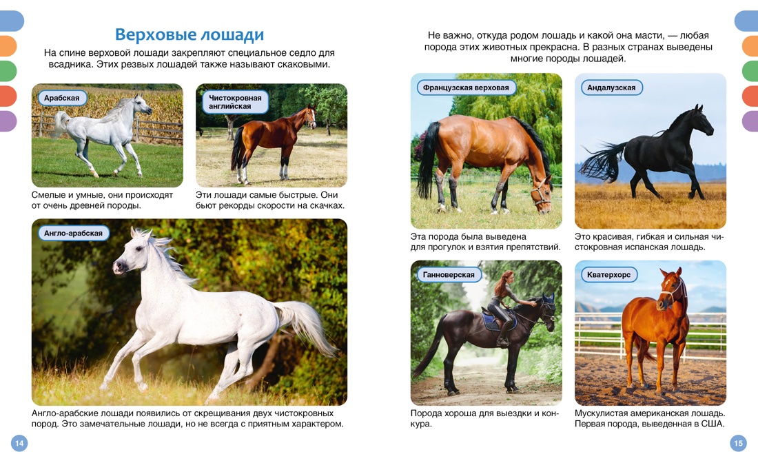 Книга Махаон лошади - фото 13