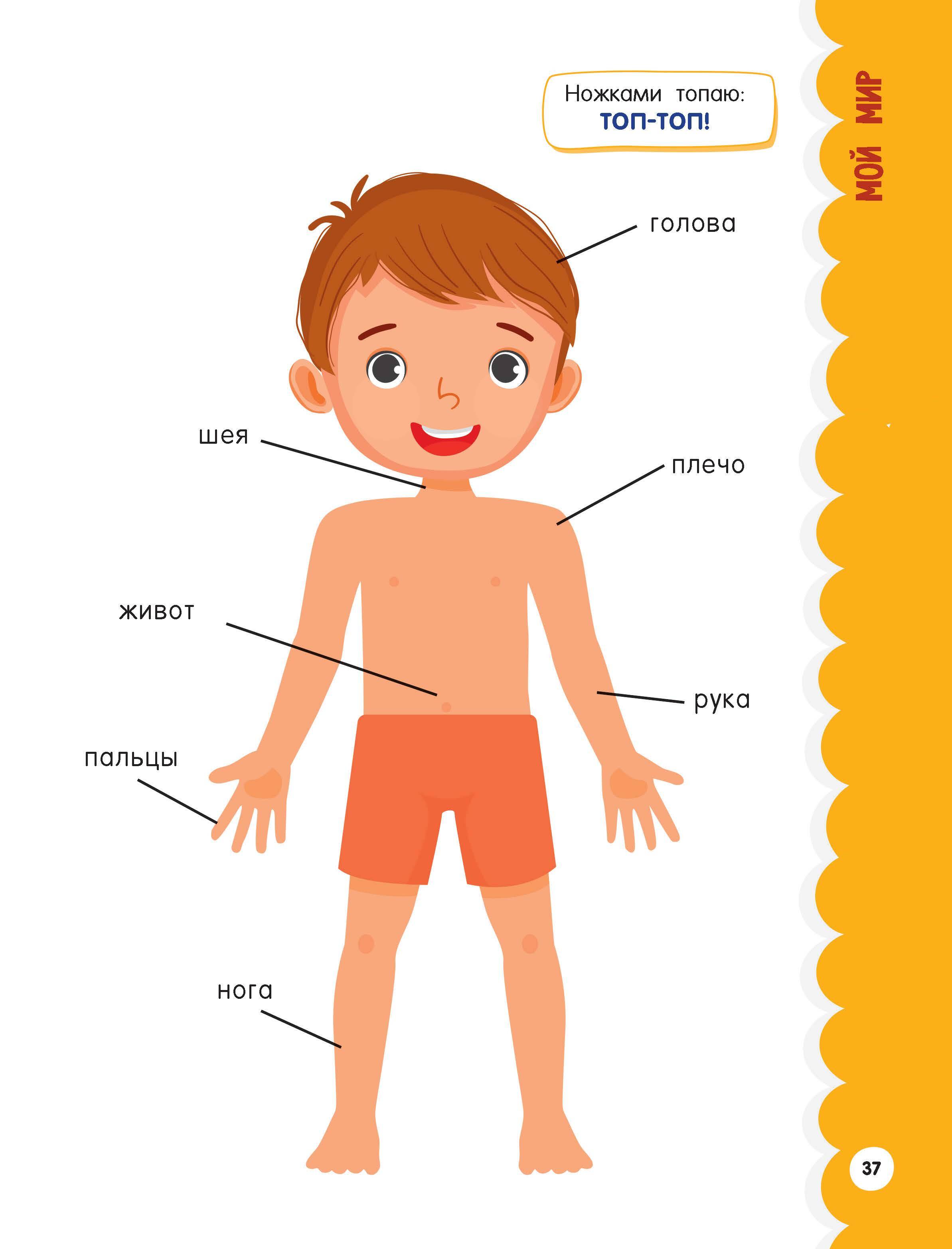 Книга АСТ Годовой курс занятий - фото 6