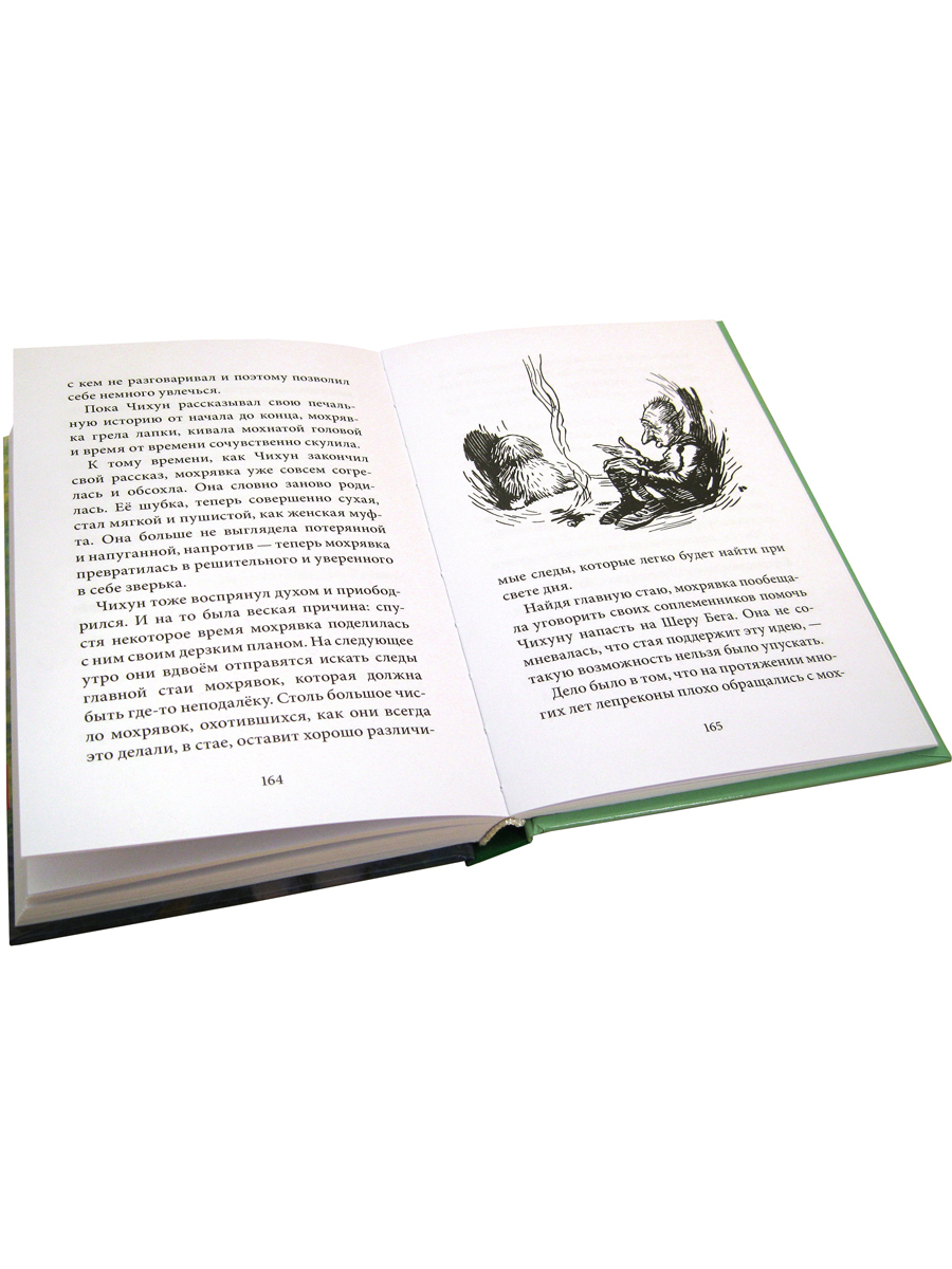 Комплект из 2-х книг/ Добрая книга / Гномы Боландского леса+ Волшебник/ Денис Уоткинс-Питчфорд - фото 9