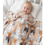Плед Baby Nice велсофт 100 x 140 см