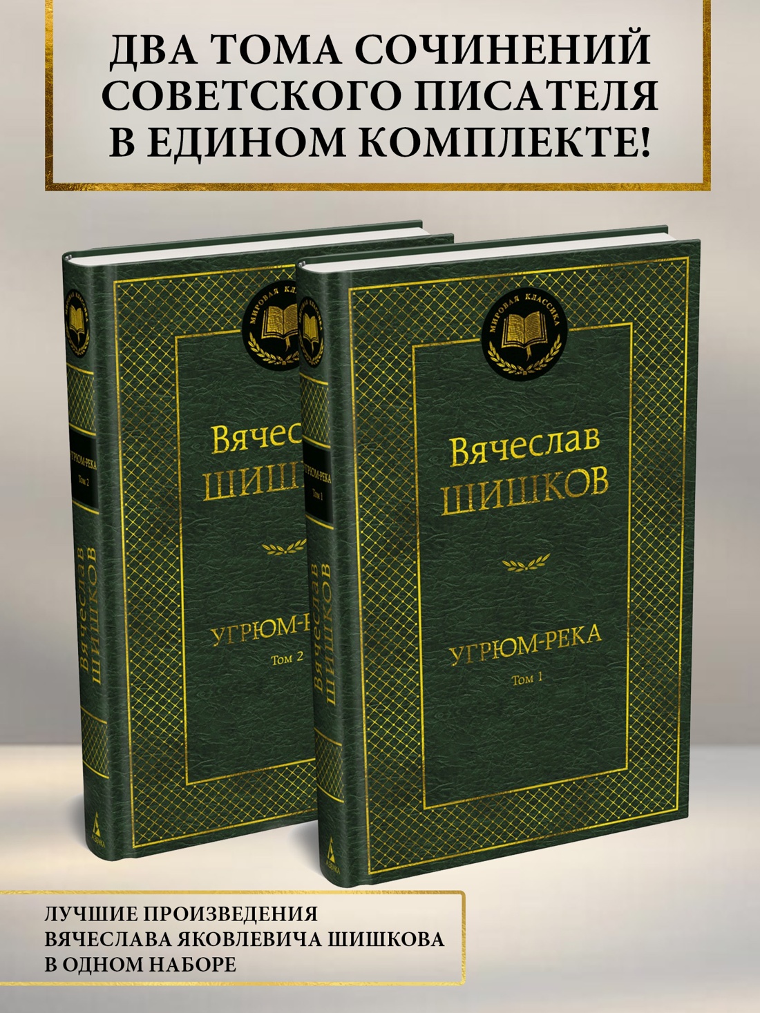 Книга АЗБУКА Мировая классика Шишков В Угрюм река в 2 т комплект - фото 2