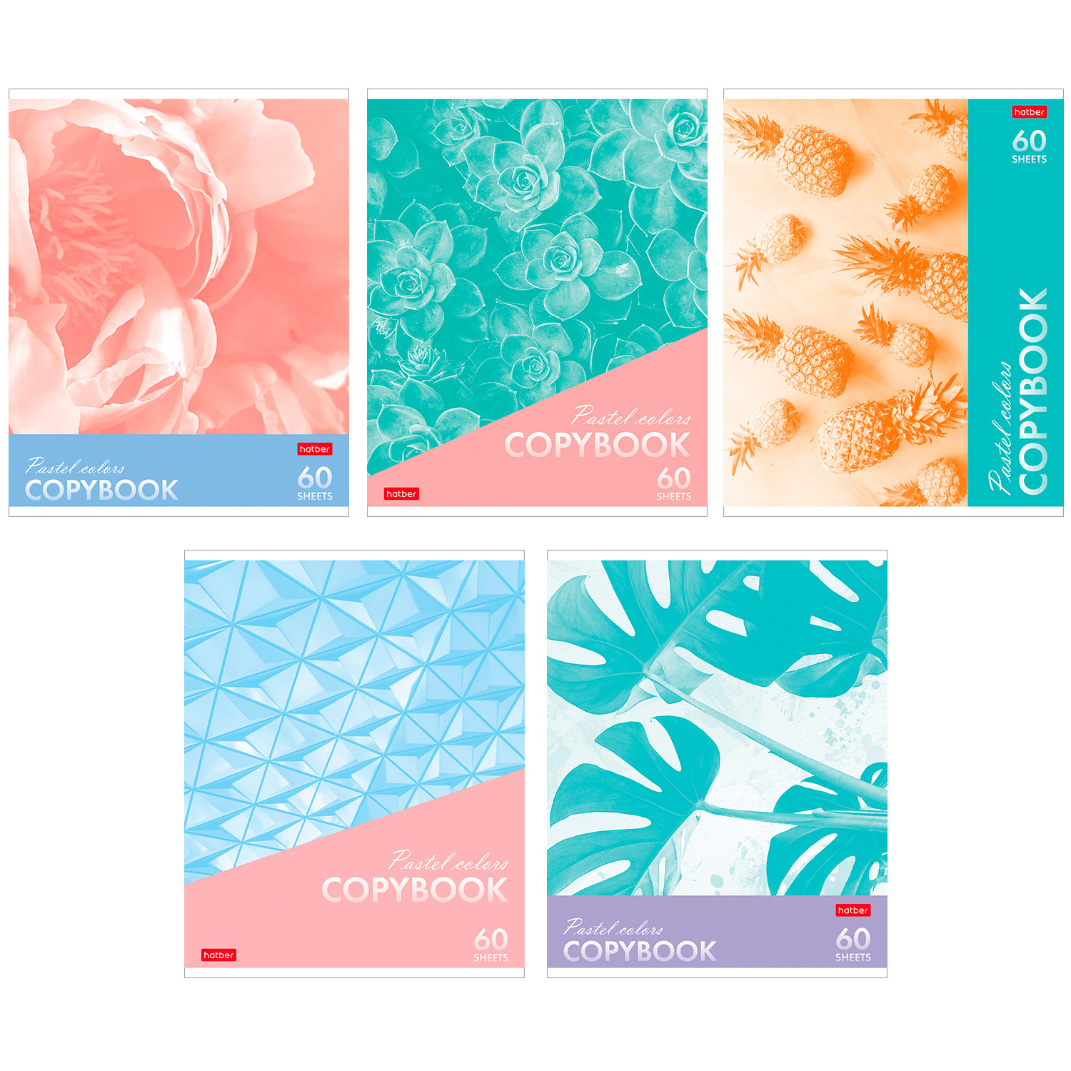 Изображение товара Общая тетрадь Hatber клетка 60 листов в ассортименте А5 скоба качество