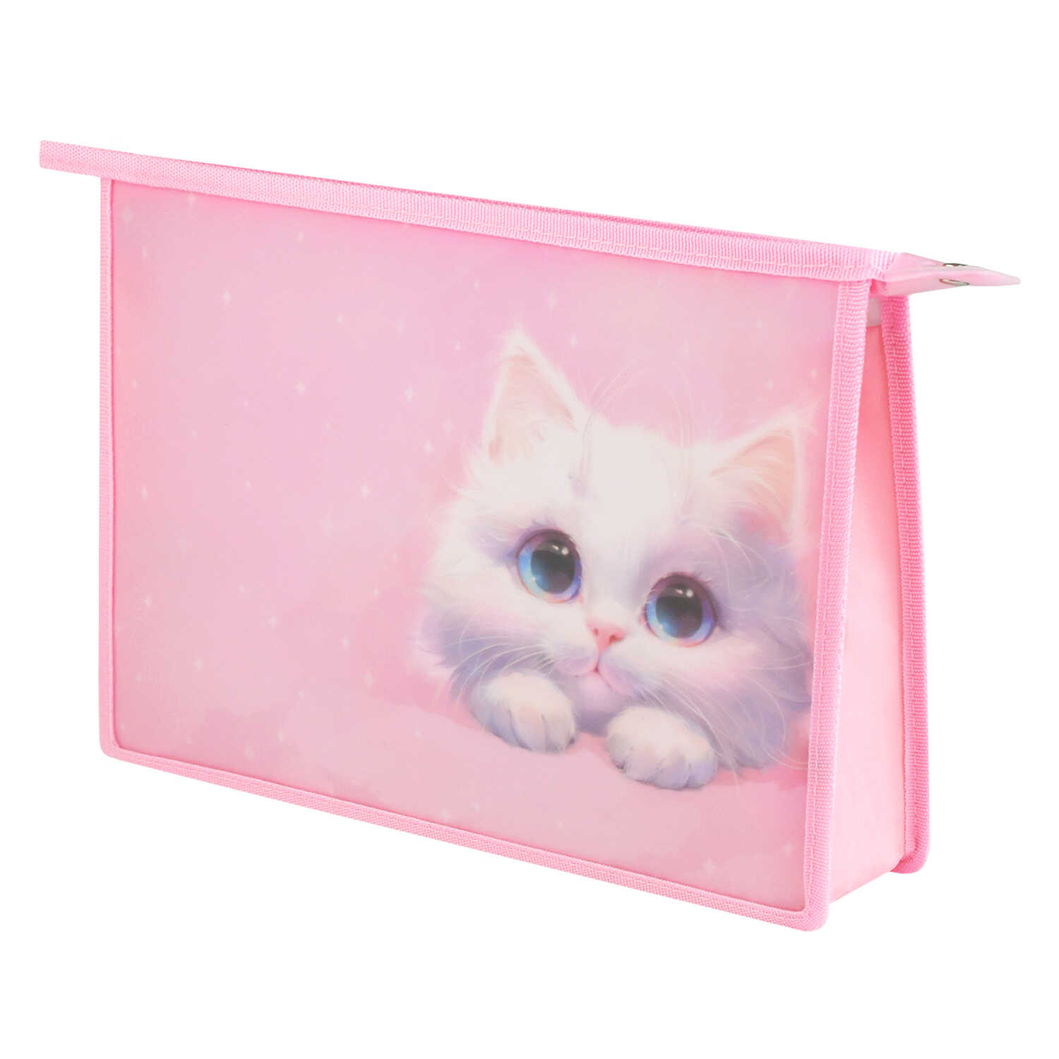 Папка для тетрадей Феникс + Кот А4 - фото 2