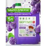 Мыло жидкое SEPTIVIT Виноградная свежесть 5450 г 5000 мл