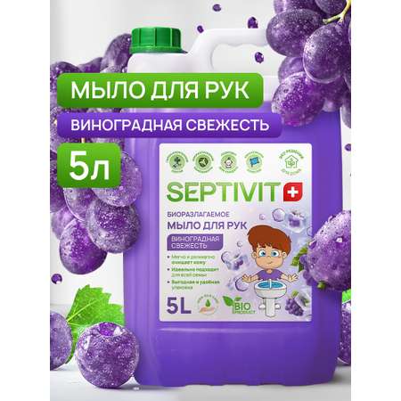 Мыло жидкое SEPTIVIT Виноградная свежесть 5450 г 5000 мл