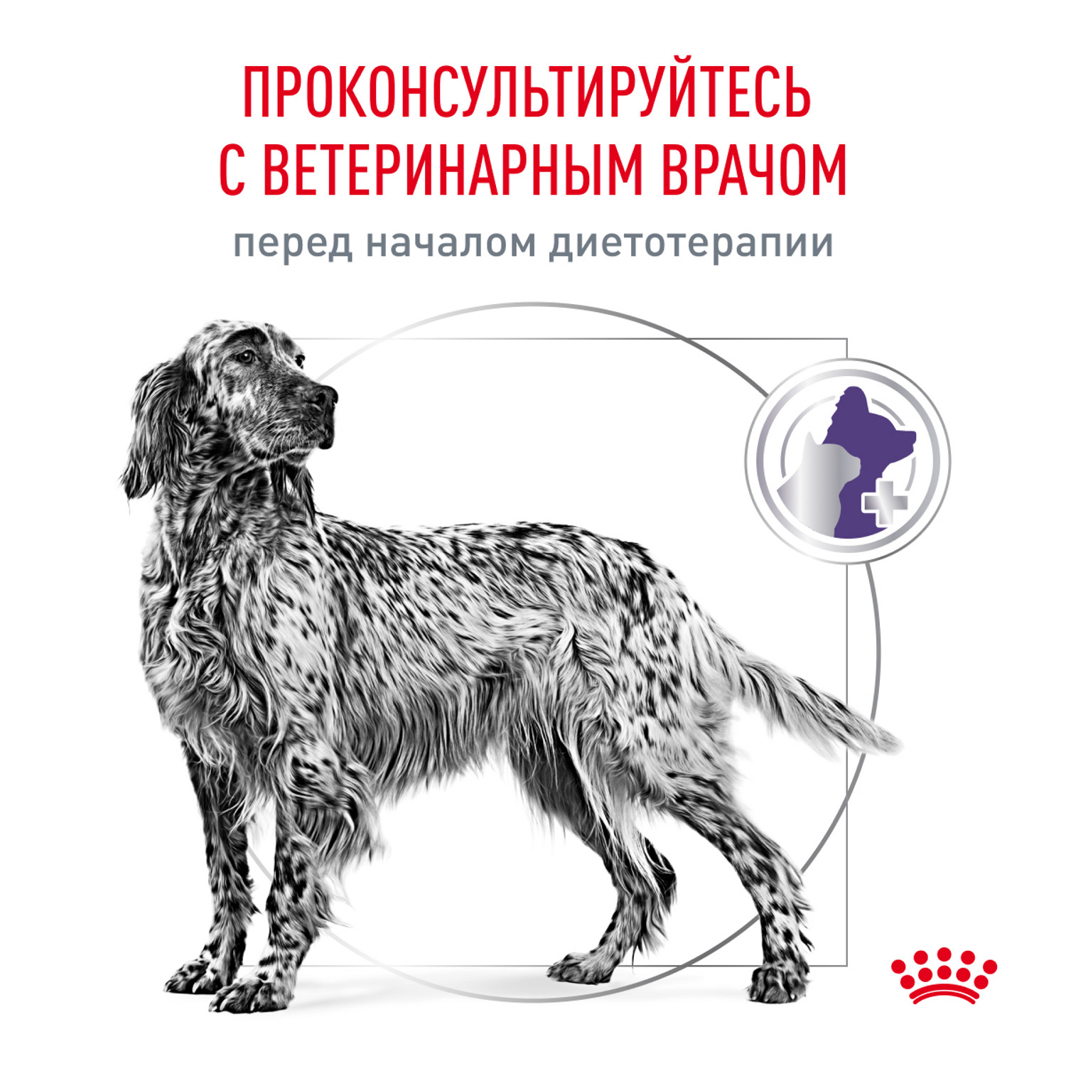 Корм для собак ROYAL CANIN Ньютрид Эдалт Медиум Догз 9кг - фото 7