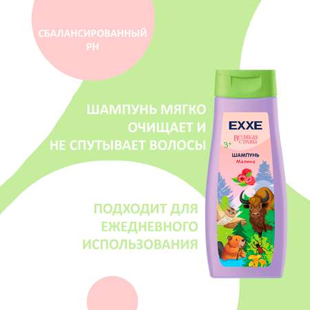Набор средств EXXE
