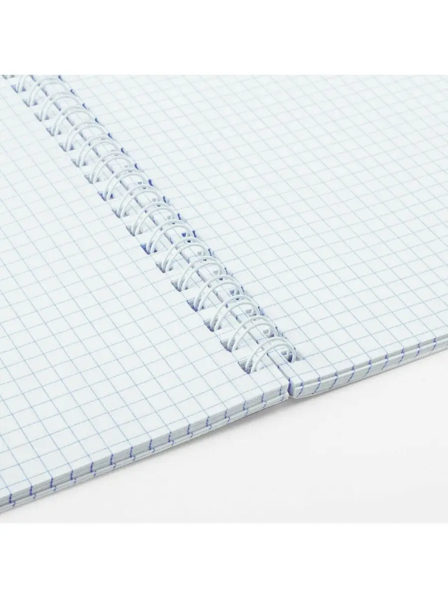 Тетрадь Brauberg клетка 96 лист. 4 шт. - фото 9