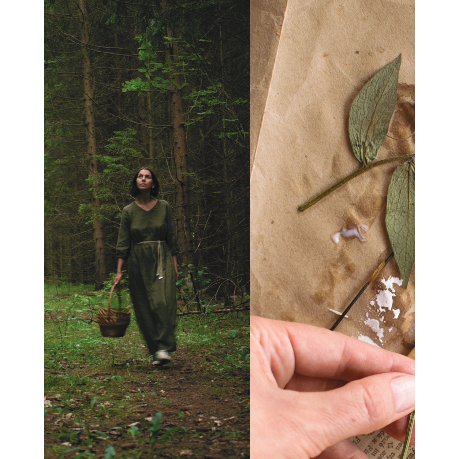 Книга БОМБОРА Счастье творчества. Книга о романтике загородной жизни - фото 7