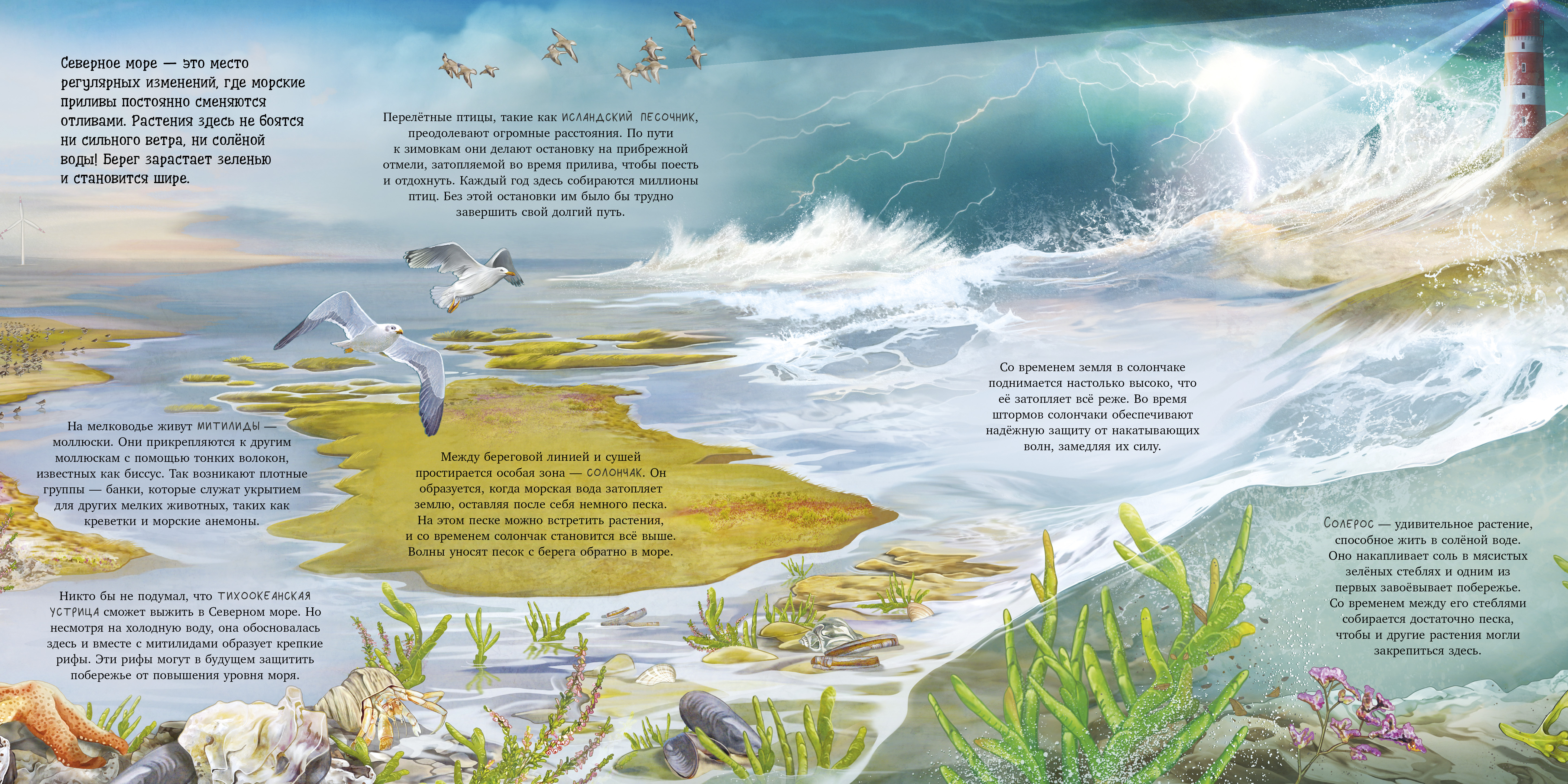 Книга Clever Удивительные животные - фото 3