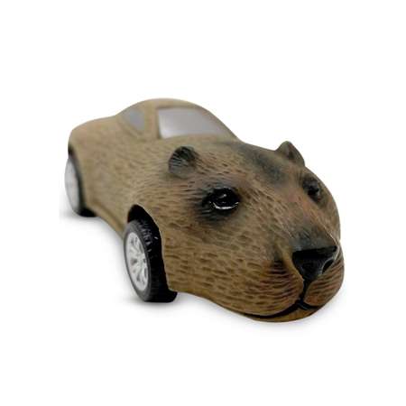 Автомобиль Sbabam