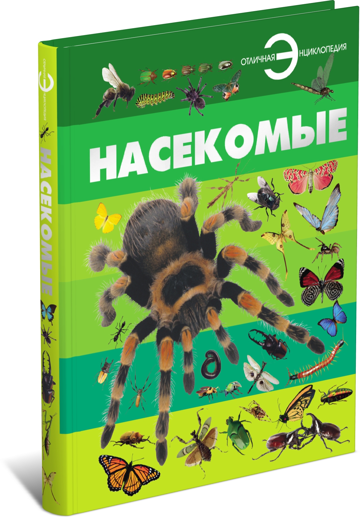 Книга Харвест Книга большая Энциклопедия для детей школьников Насекомые для чтения с иллюстрациями - фото 1