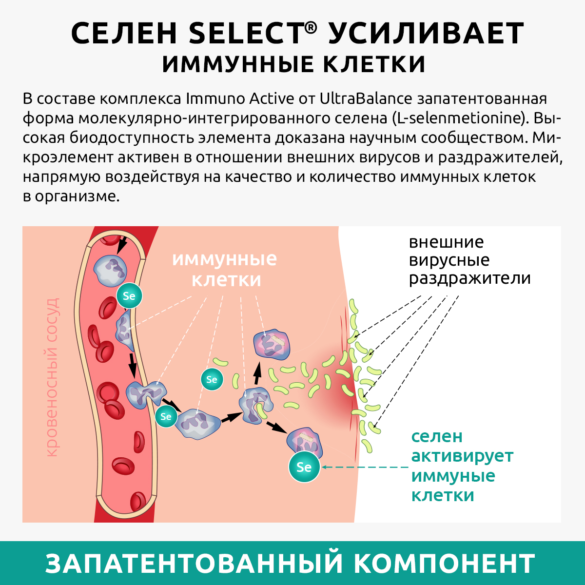 Витамины для иммунитета UltraBalance IMMUNO ACTIVE витаминный комплекс мультивитамины для взрослых 60 капсул - фото 8