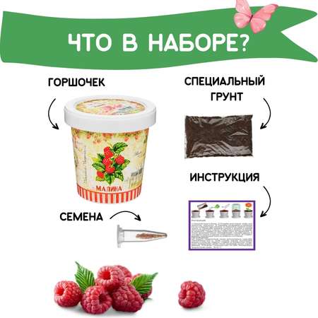 Набор для выращивания Rostok Visa