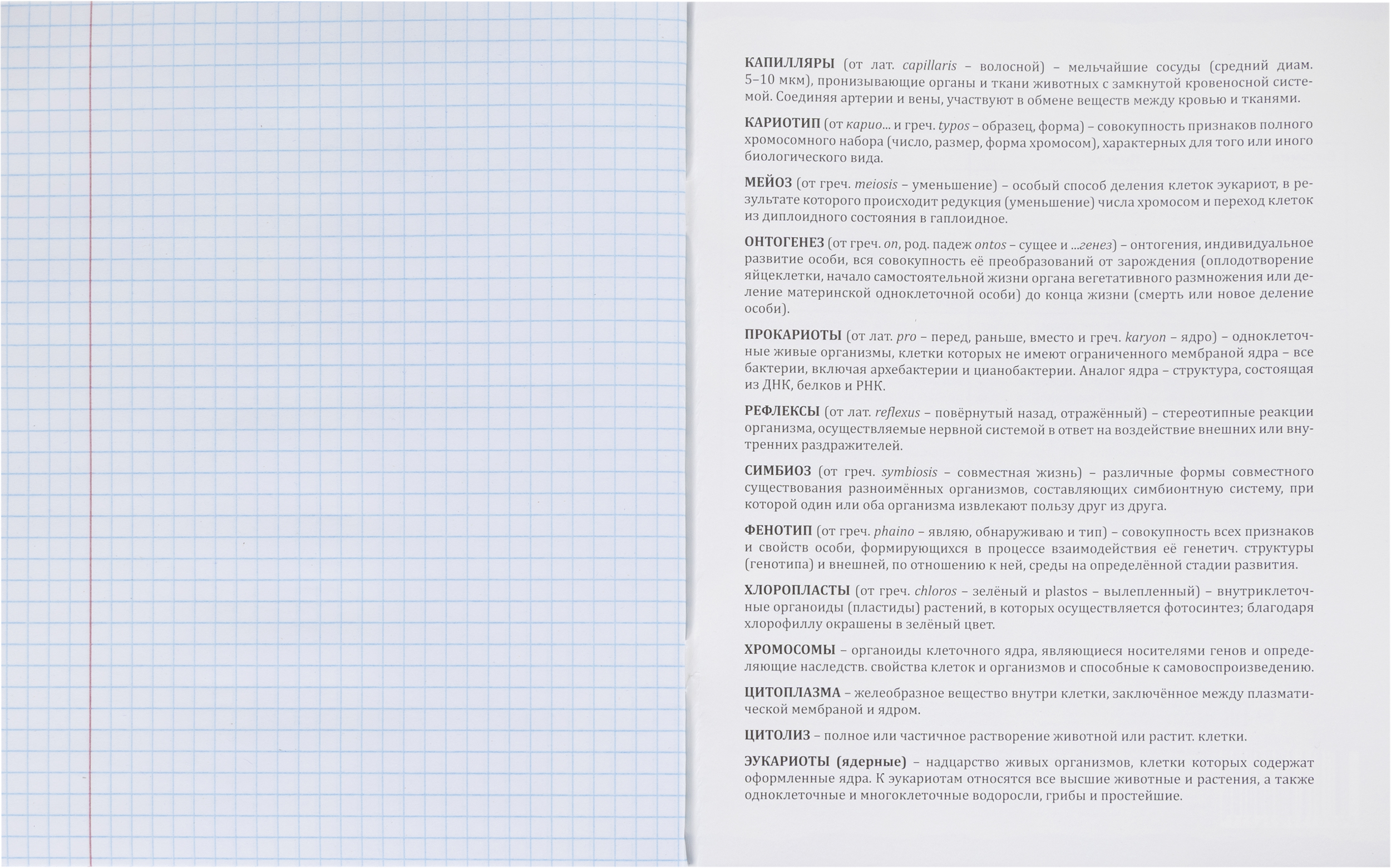 Тетрадь Комус клетка - фото 33