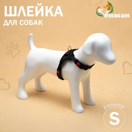 Шлейка Пижон мягкая со светоотражающими элементами размер S (ОШ 29-31 см ОГ 37-45 см) чёрная