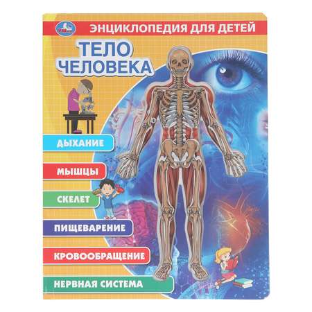 Энциклопедия УМка Тело человека