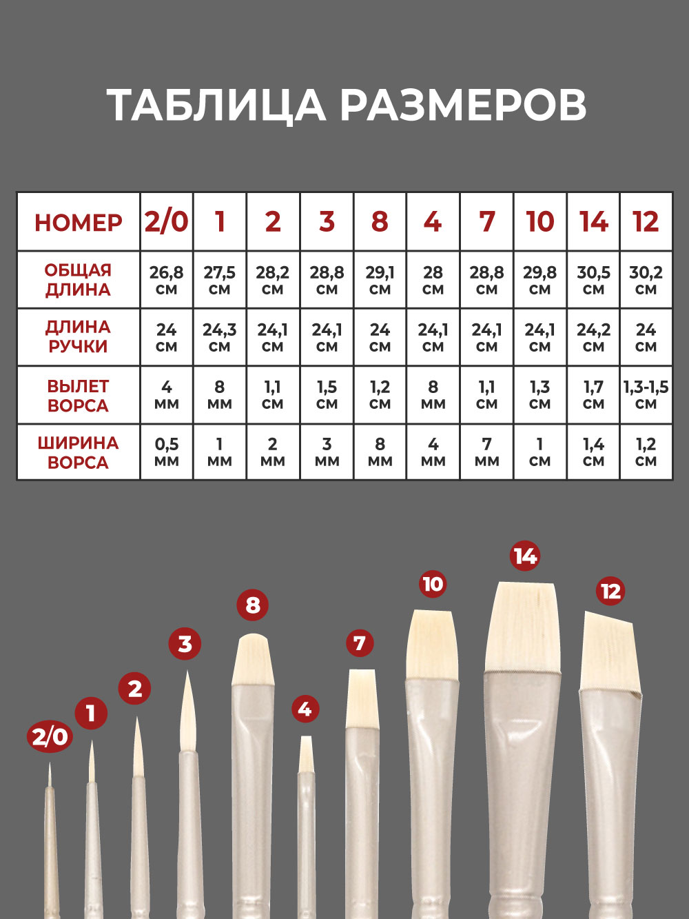 Кисть Малевичъ 10 шт. - фото 3