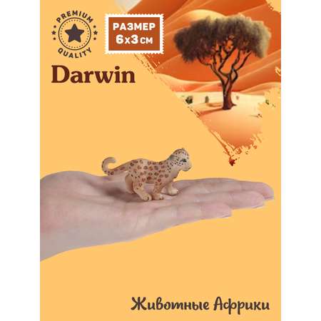 Фигурка DARWIN Животные котёнок леопарда