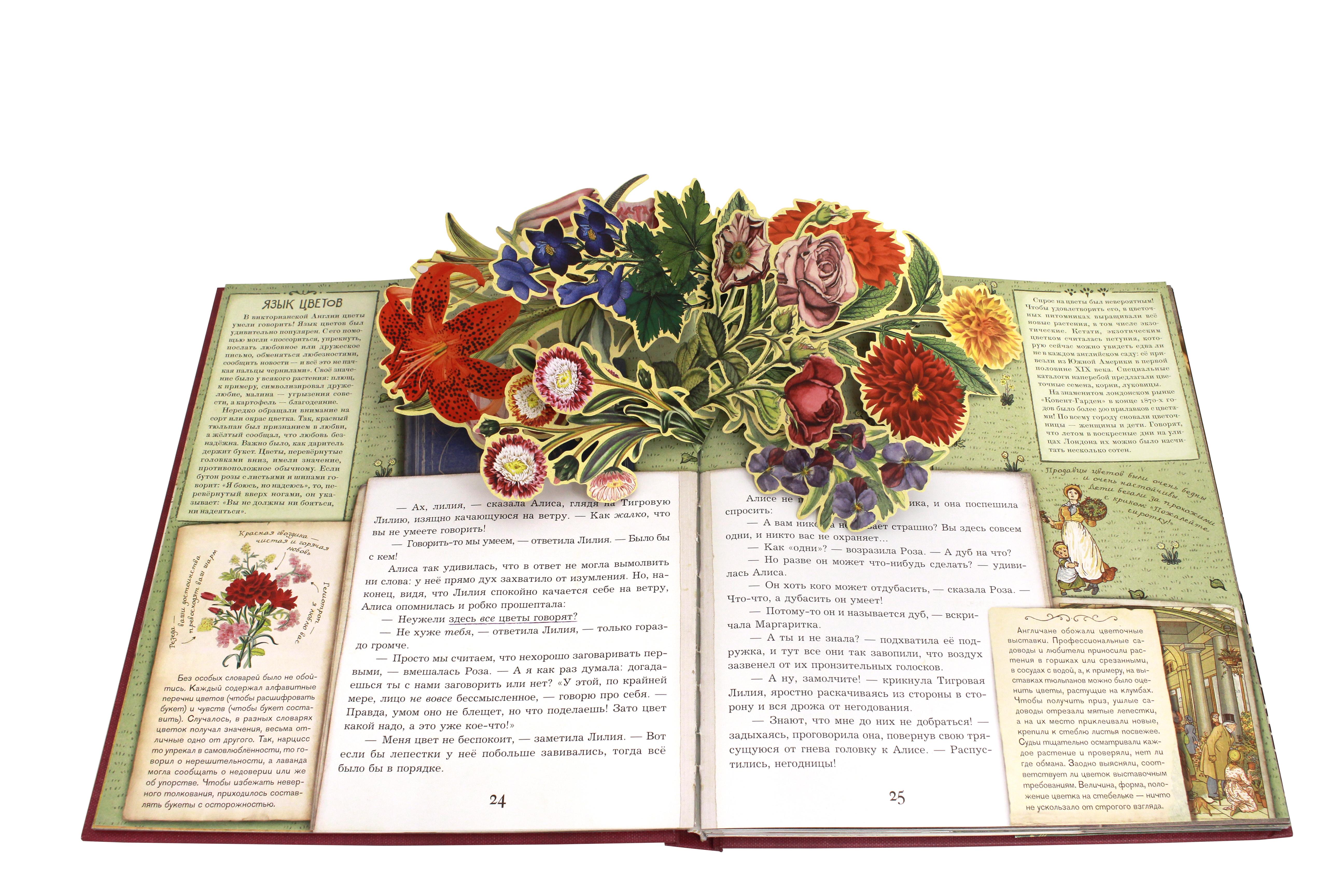 Книга Лабиринт Алиса в Зазеркалье или Сквозь зеркало - фото 3