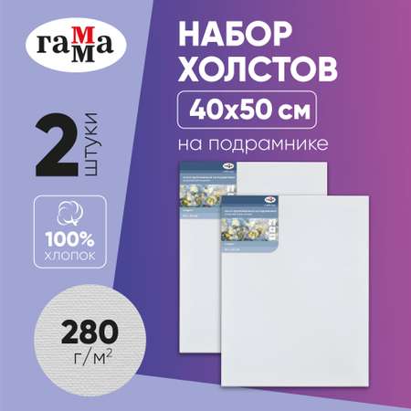 Набор холстов Гаммa на подрамнике 2 шт