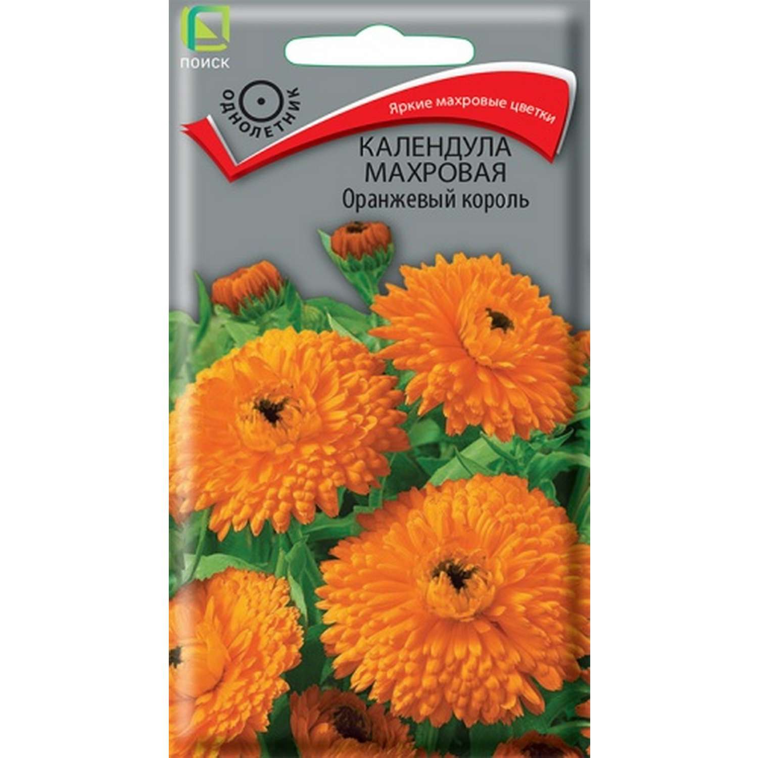 Календула махровая ПОИСК Оранжевый король 1г - фото 1