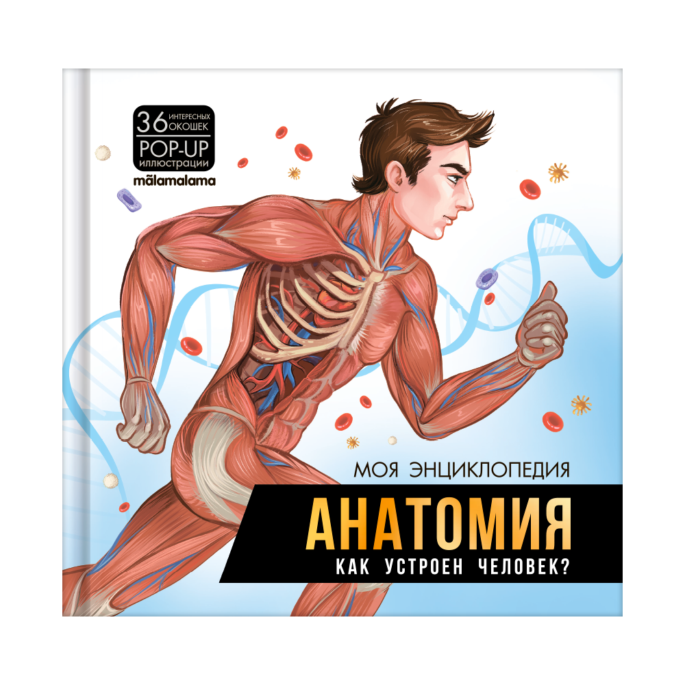 Книга Анатомия Как устроен человек? Malamalama Интерактивная Энциклопедия для детей с объемными картинками 3Д - фото 1
