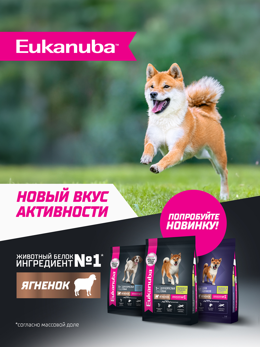 Корм для щенков Eukanuba с ягненком сухой 3кг - фото 10