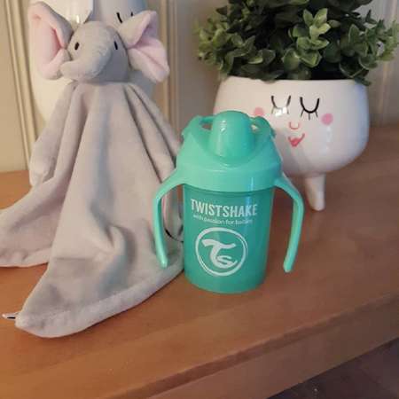 Игрушка Twistshake