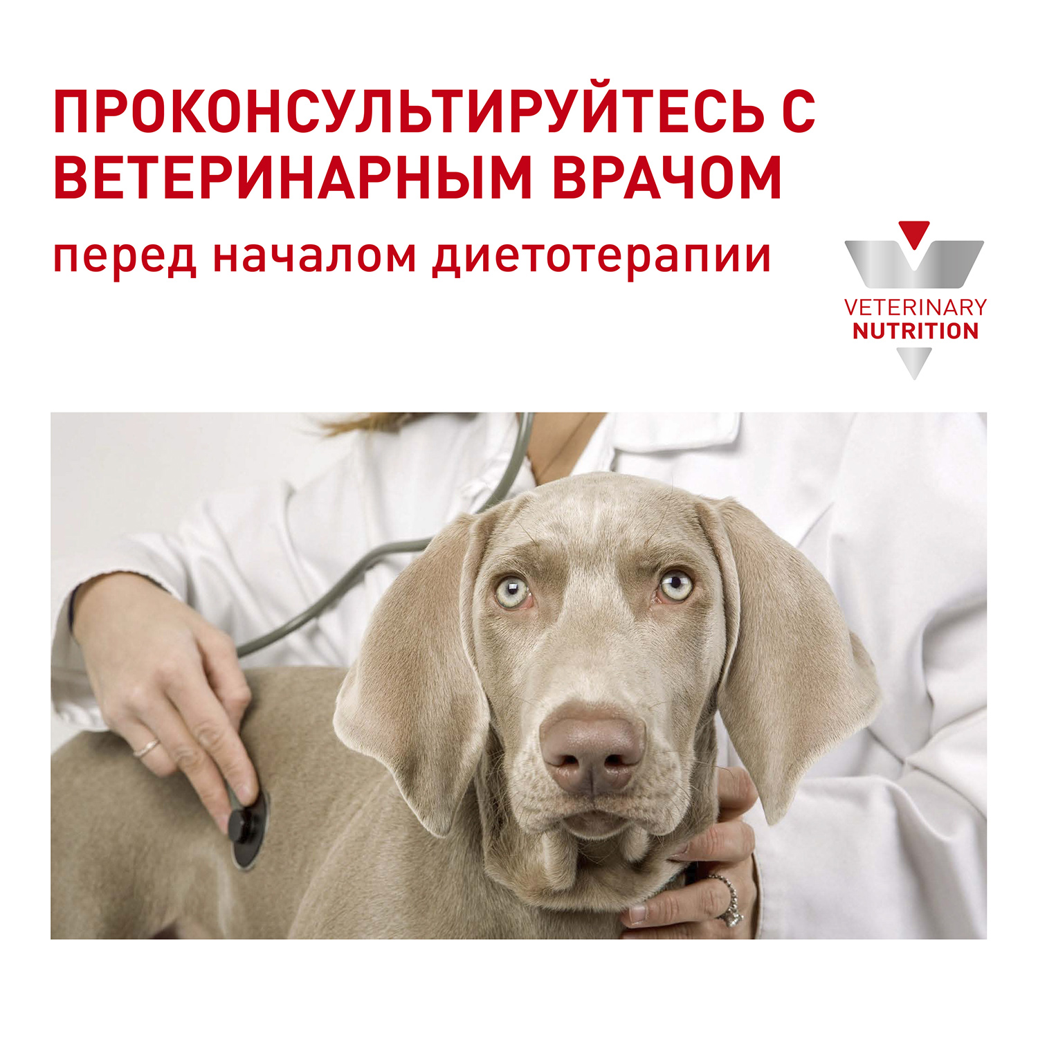 Корм для собак ROYAL CANIN Ньютрид Эдалт канин 0.1кг - фото 7