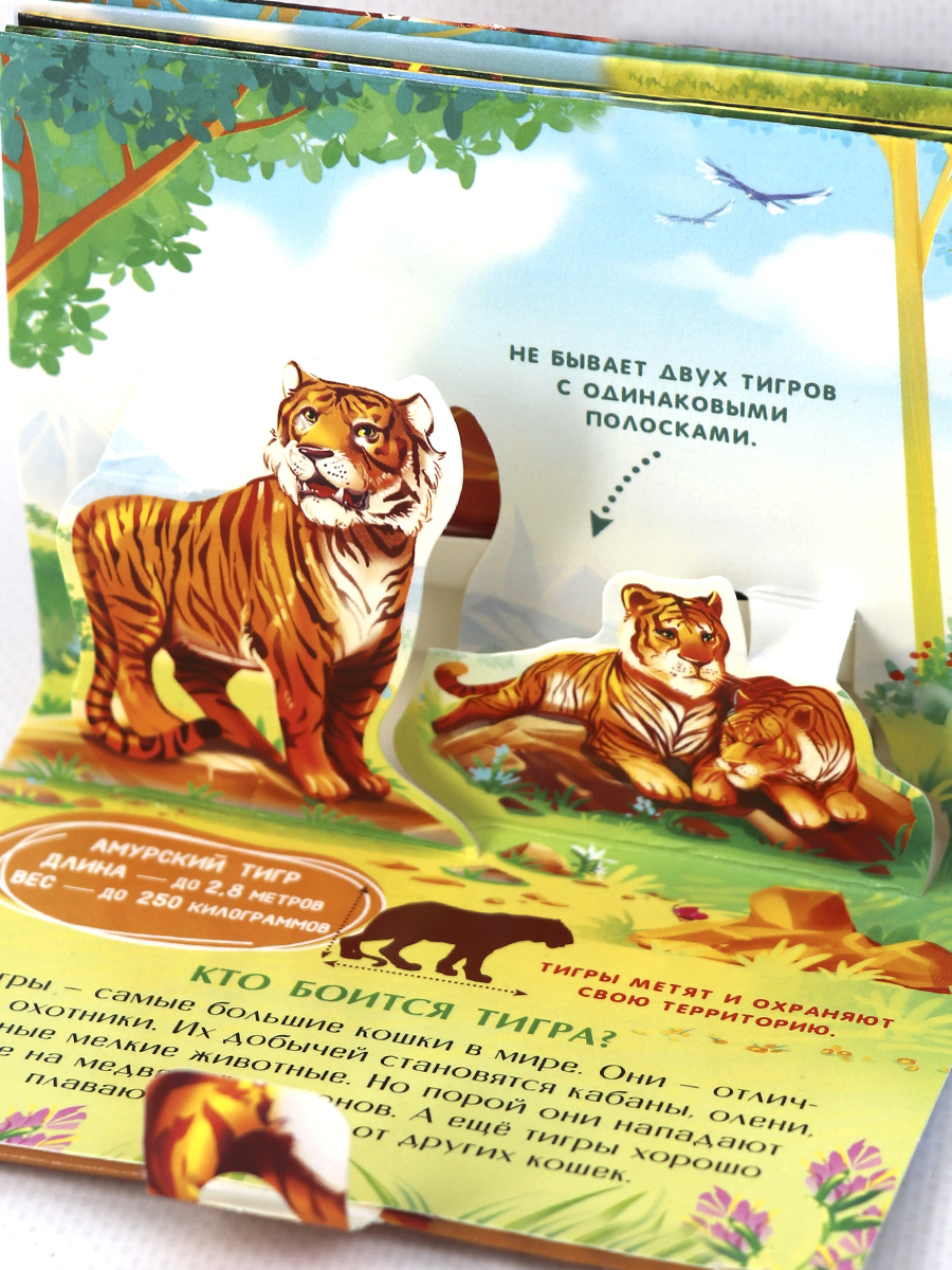 Набор книг Malamalama Коллекция карманных Энциклопедий о животных 6 шт - фото 12