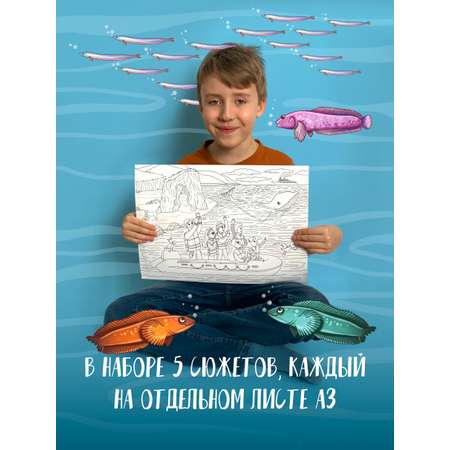 Раскраска TimArt Toys Командорские острова