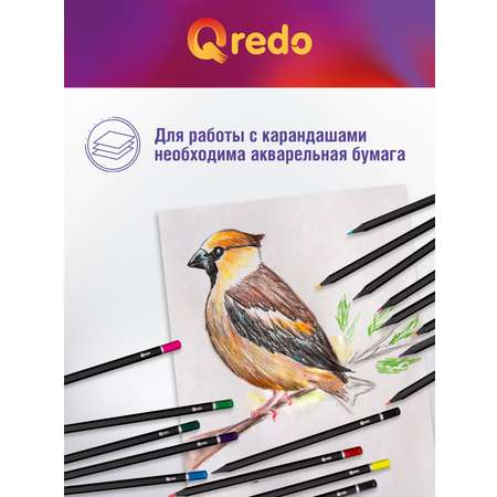 Карандаши акварельные Qredo 18 шт.