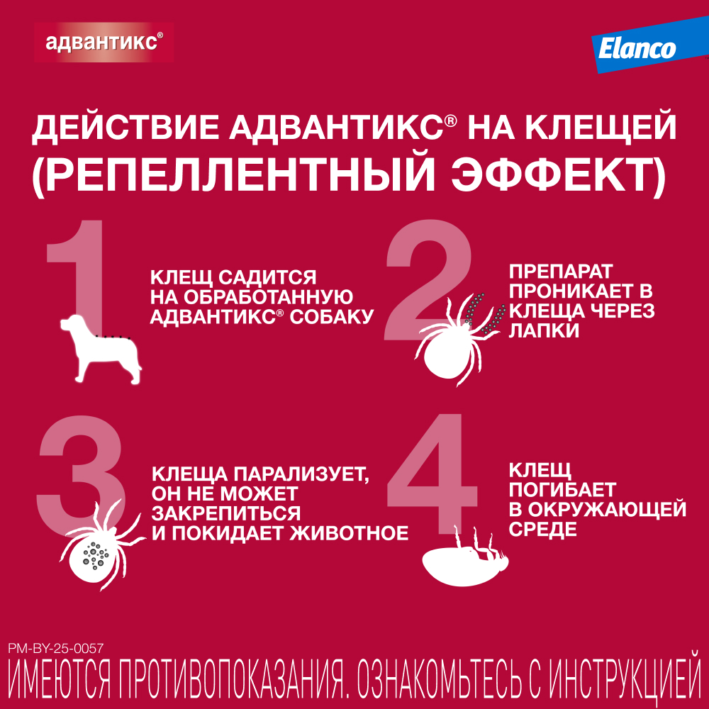 Капли для собак Elanco Адвантикс от 25 до 40 кг против блох и клещей 1пипетка - фото 5