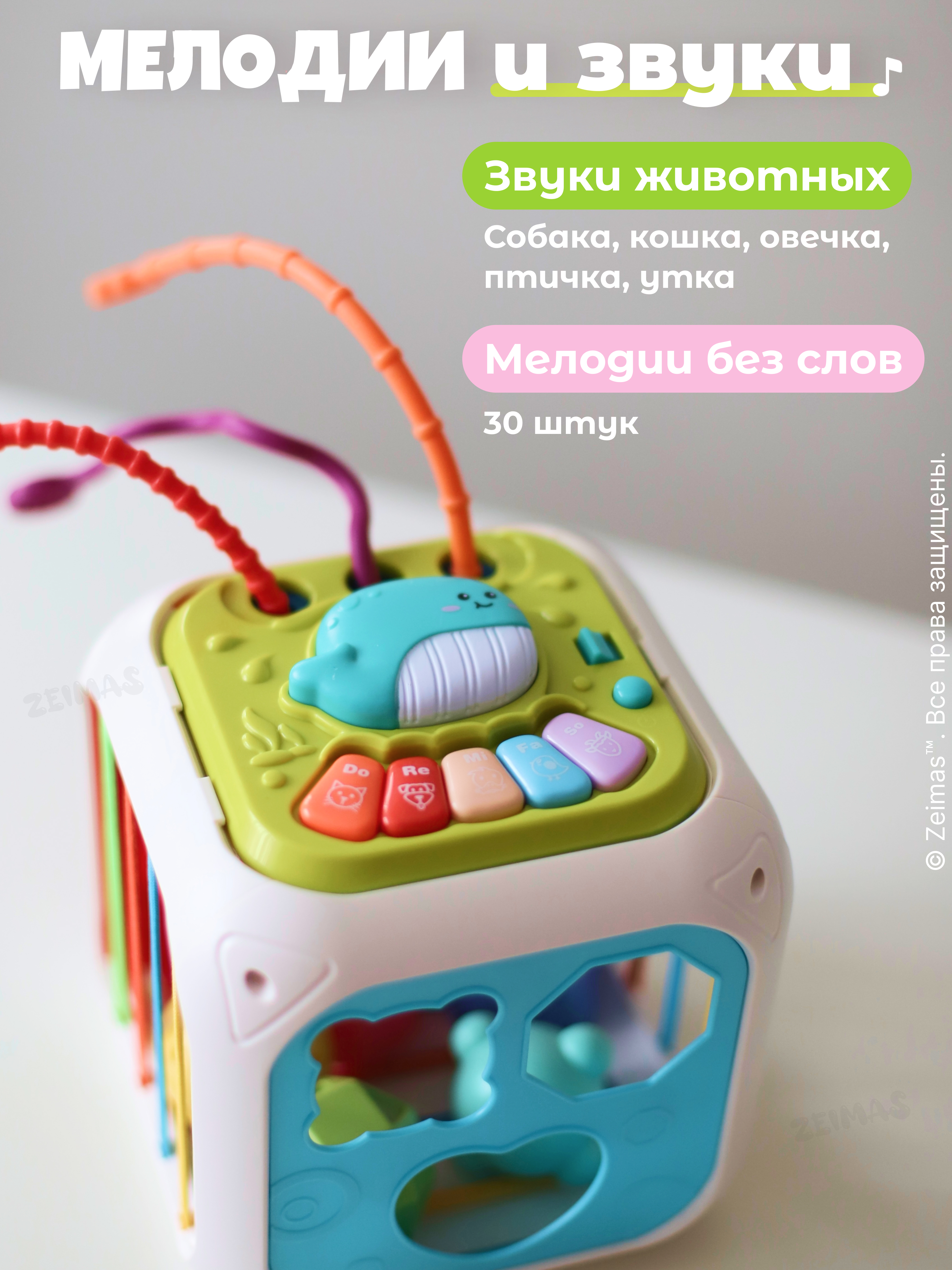 Игрушка Zeimas бизиборд Музыкальный сортер 7 в 1 в ассортименте - фото 5
