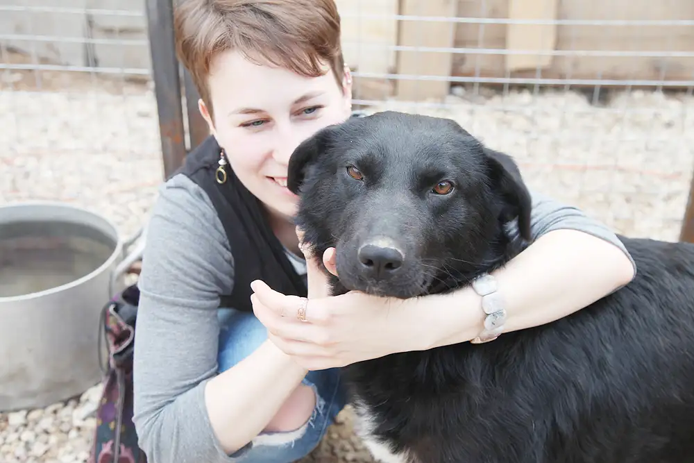 Собака Осташка - фото 4