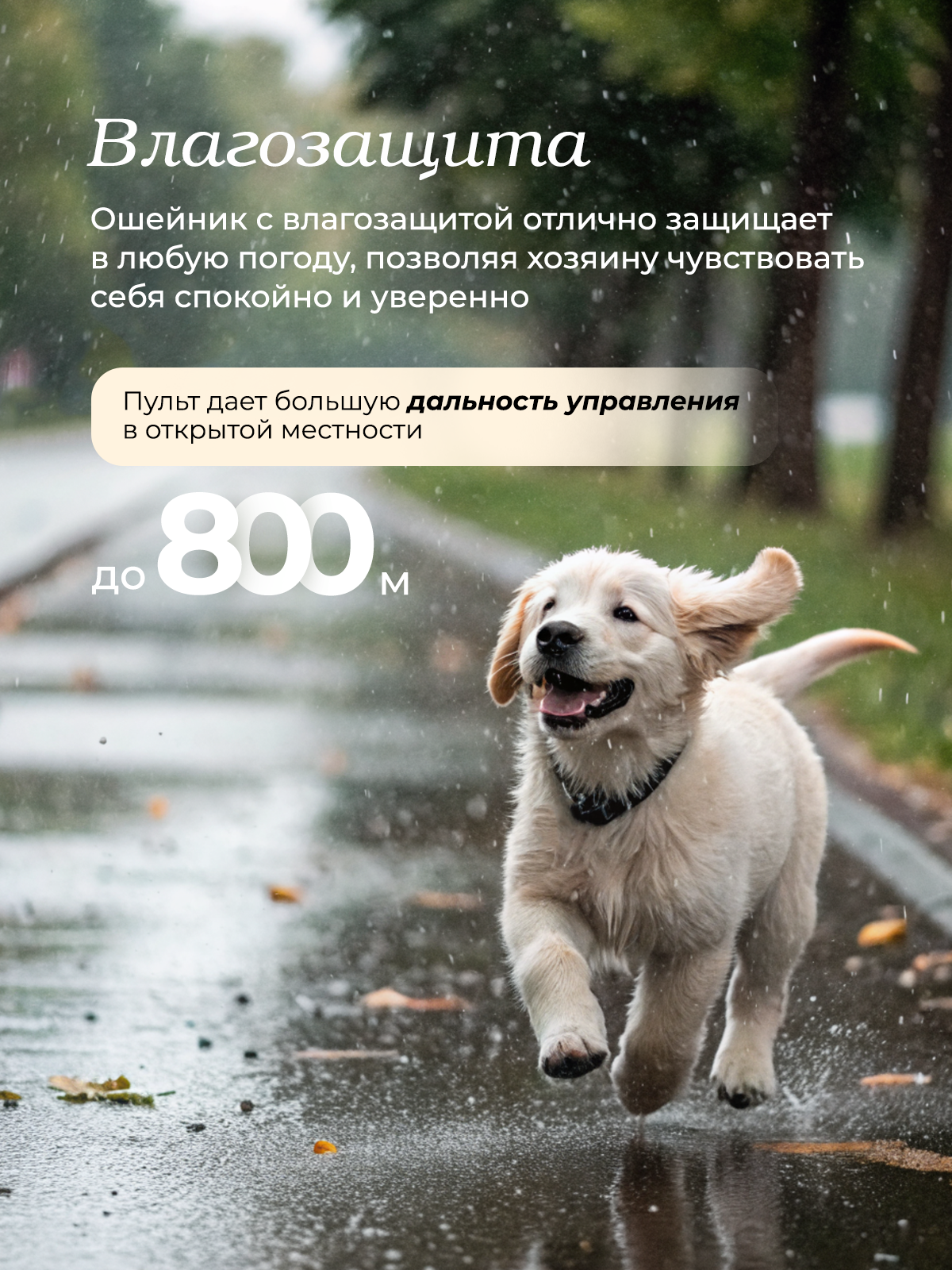 Ошейник для собак SuperPets электронный дрессировочный - фото 7