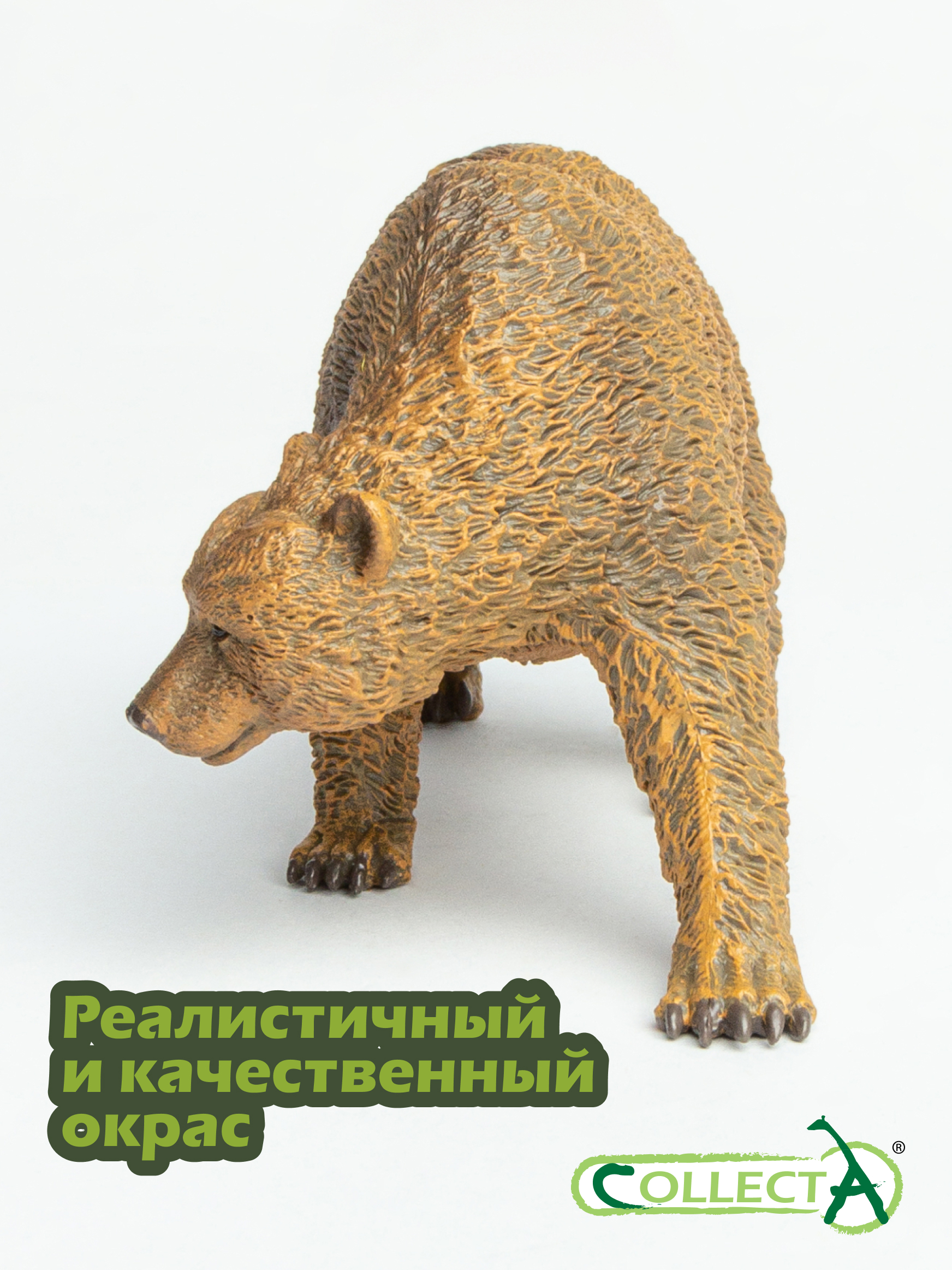 Фигурка Collecta Медведь бурый - фото 4