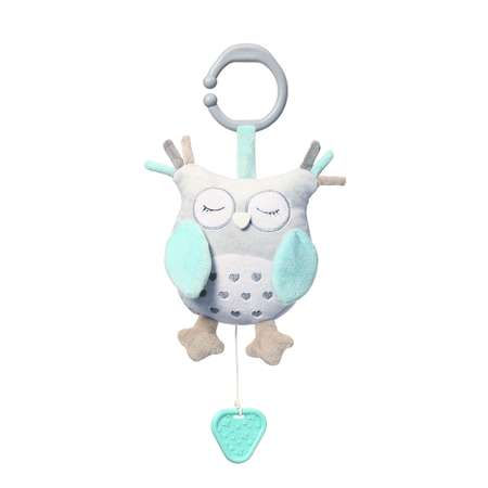 Игрушка Babyono подвеска в ассортименте