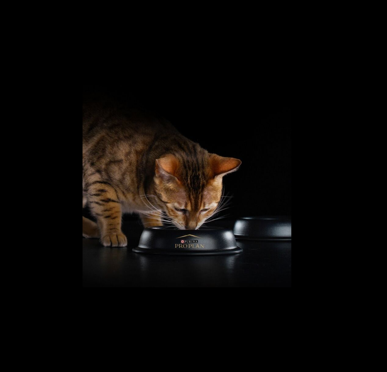 Сухой корм PRO PLAN OptiDigest Delicate Adult - фото 11