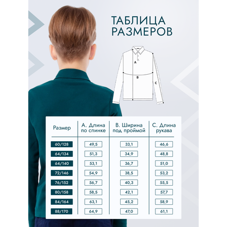 Поло GOJO