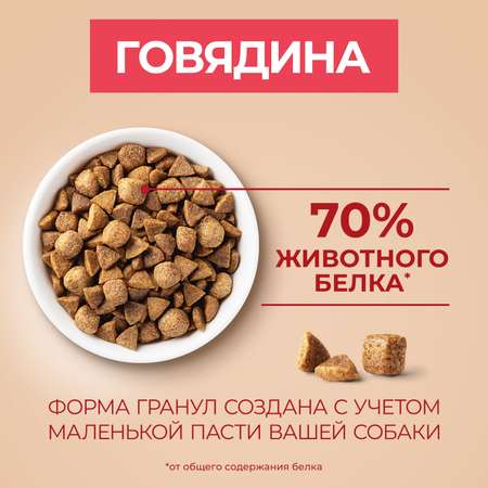 Корм для собак Purina One Mini говядина-рис 600г