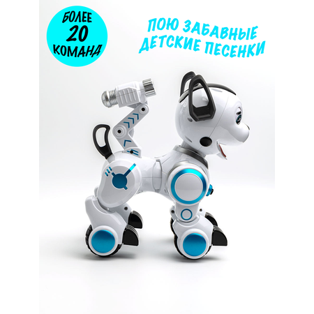 Робот РУ Zhorya новый Дружок