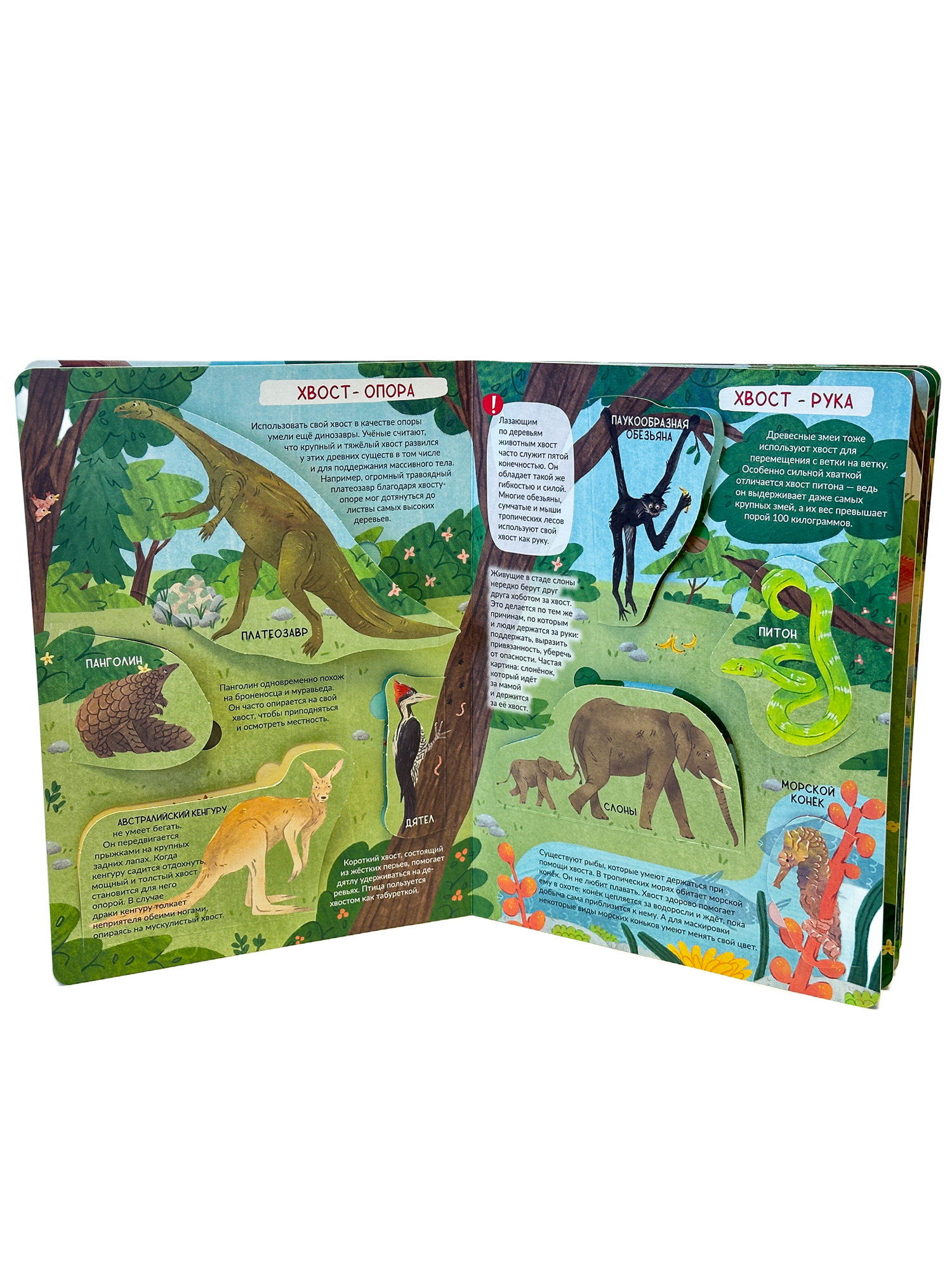 Энциклопедия с окошками БимБиМон Книга детская энциклопедия с окошками Виммельбух - фото 9