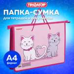 Папка с ручками Пифагор