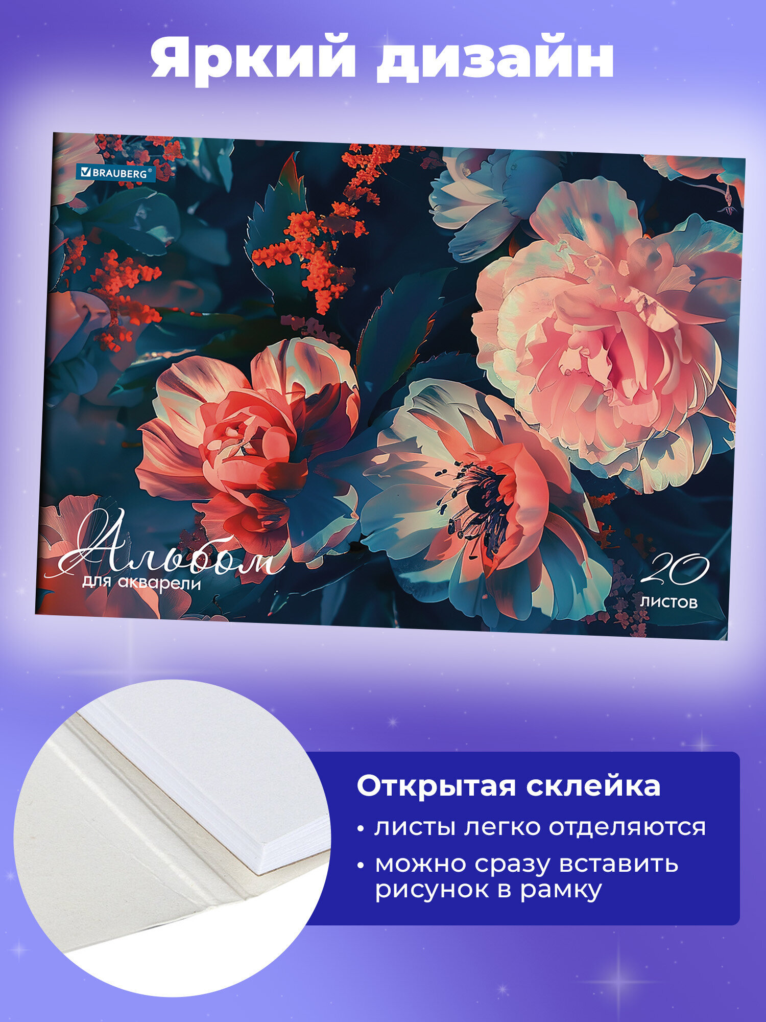 Альбом Brauberg А4 20 лист. - фото 2