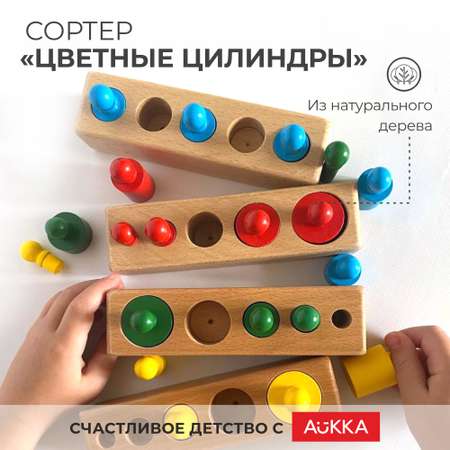 Игрушка AUKKA сортер Монтессори Гирьки