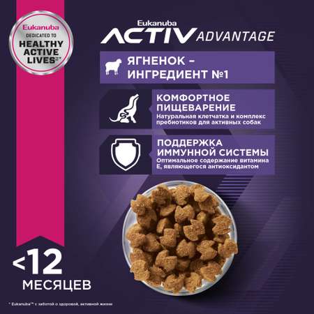 Корм для щенков Eukanuba 12кг Dog с ягненком для всех пород