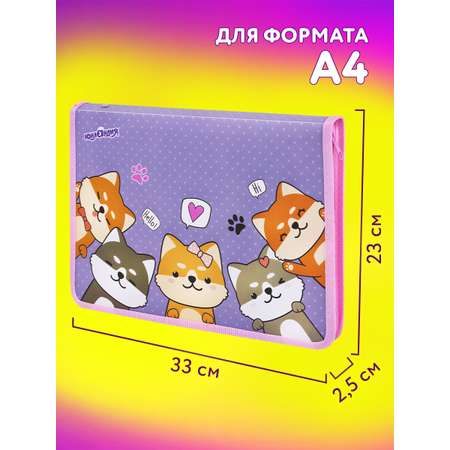 Папка для тетрадей Юнландия А4