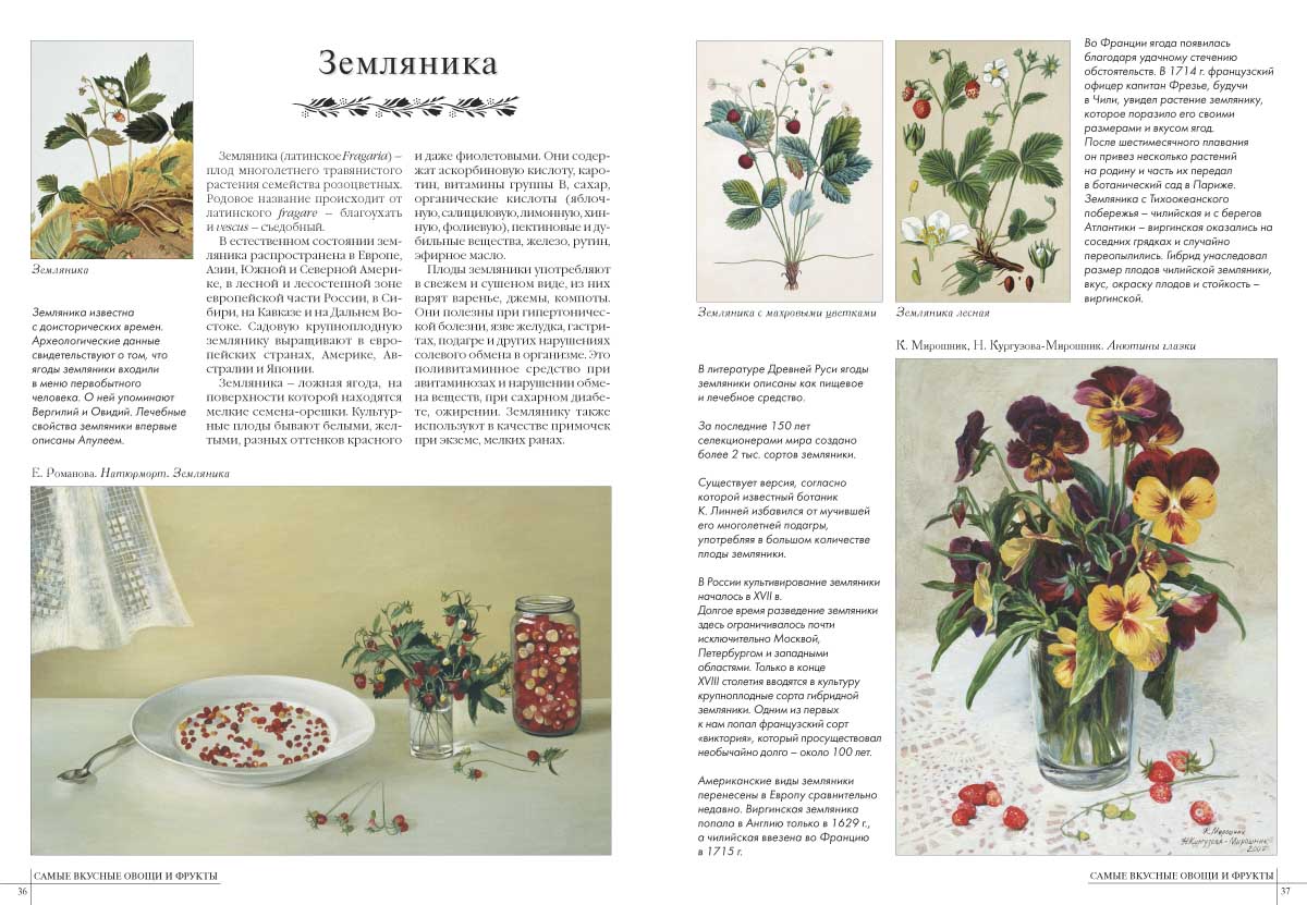 Книга Белый город 50. Самые вкусные овощи и фрукты - фото 5